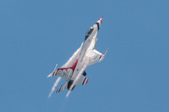 Enlarge photo 48