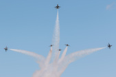 Enlarge photo 57
