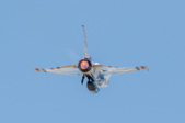 Enlarge photo 58