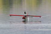 Enlarge photo 45