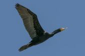 Enlarge photo 28