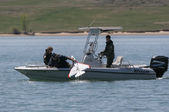 Enlarge photo 34
