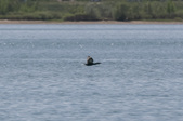 Enlarge photo 35
