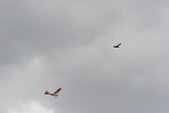 Enlarge photo 48