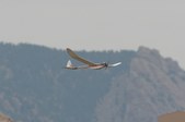 Enlarge photo 46