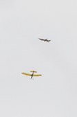 Enlarge photo 77