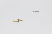 Enlarge photo 78