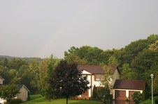 View from my window