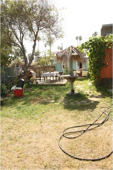 Enlarge photo 64