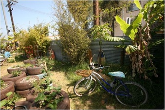 Enlarge photo 76