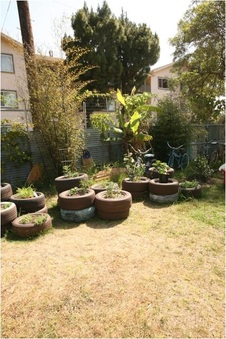 Enlarge photo 79