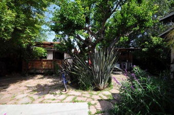 Enlarge photo 39
