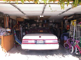 Enlarge photo 42