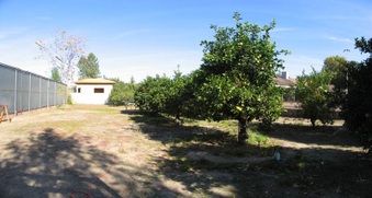 Enlarge photo 37