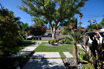 Enlarge photo 46