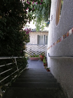 Enlarge photo 47
