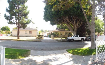 Enlarge photo 48