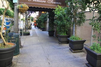 Enlarge photo 33