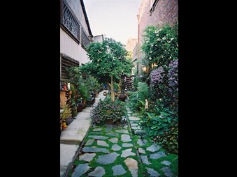 Enlarge photo 64