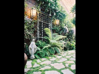 Enlarge photo 65