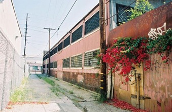 Enlarge photo 72