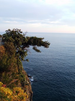 Enlarge photo 21