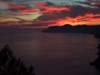 Enlarge photo 27