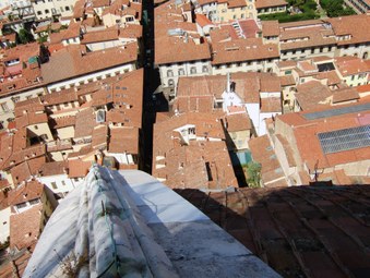 Enlarge photo 20