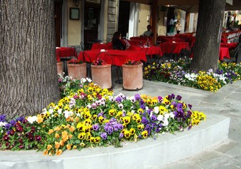 Enlarge photo 17