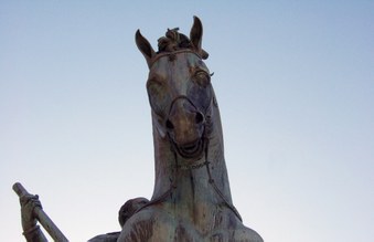 Enlarge photo 19