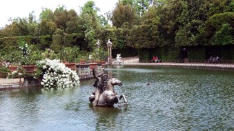 Enlarge photo 7