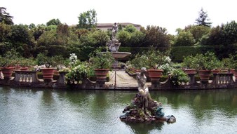 Enlarge photo 8