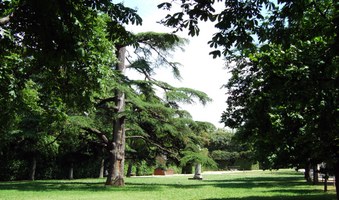 Enlarge photo 11