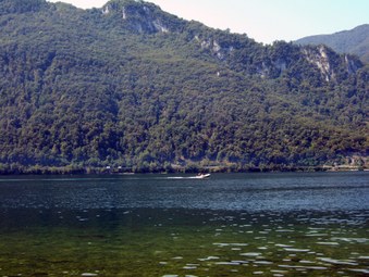 Enlarge photo 3