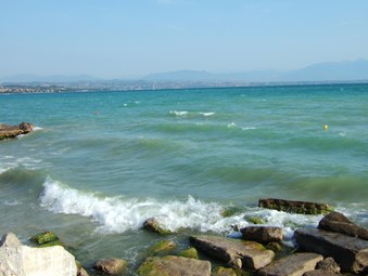 Enlarge photo 12