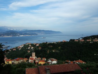 Enlarge photo 7