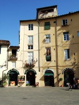 Enlarge photo 8