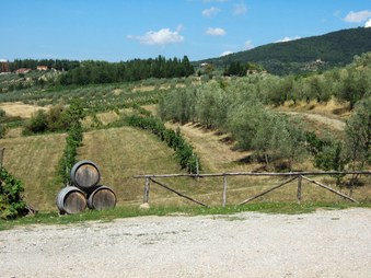 Enlarge photo 14