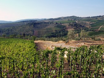 Enlarge photo 25