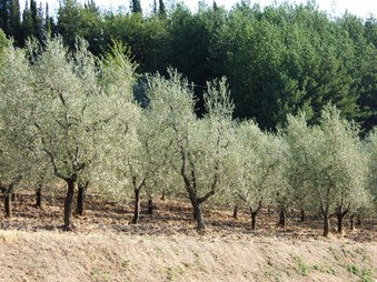 Enlarge photo 26