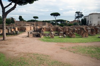 Enlarge photo 10