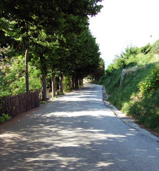 Enlarge photo 27