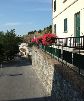 Enlarge photo 29