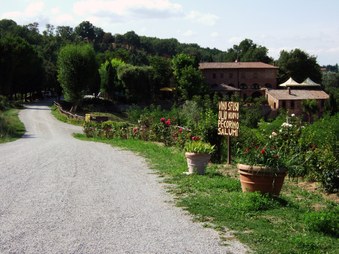 Enlarge photo 2