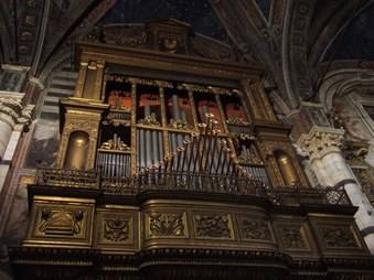 Enlarge photo 27