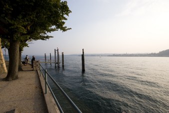Enlarge photo 29