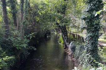 75 Km Bike Ride