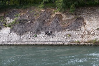 Enlarge photo 6