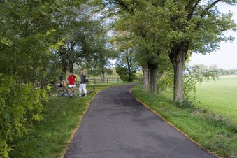 Enlarge photo 7