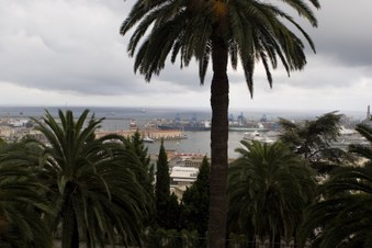 Enlarge photo 4
